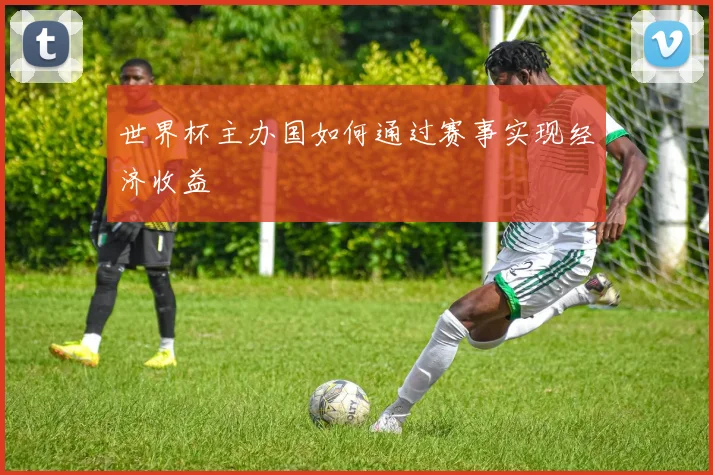 世界杯主办国如何通过赛事实现经济收益